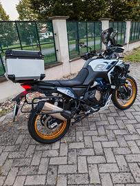 voge 800