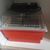 incubatrice cova tutto 20