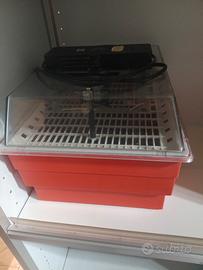 incubatrice cova tutto 20