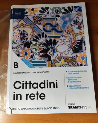 cittadini in rete 