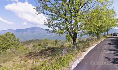 Terreno agricolo in cilento