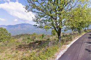 Terreno agricolo in cilento