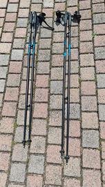 Bastoncini nordic walking/trekking