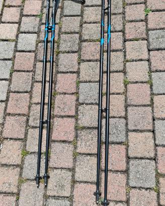 Bastoncini nordic walking/trekking