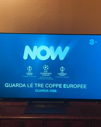TV Samsung S90D Oled 48”