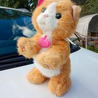 DAISY GATTINO