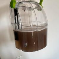 BISSELL SpotClean pet Pro (pari al nuovo)