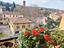 Immagine 20