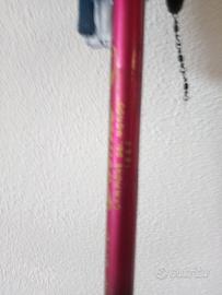 Canna da pesca