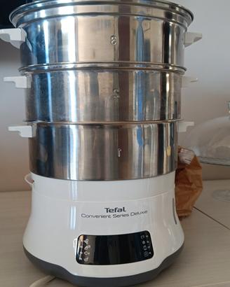 Vaporiera tefal in acciaio