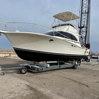 Luhrs 32