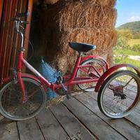 bici 3 ruote