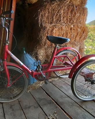 bici 3 ruote