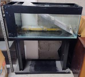 acquario