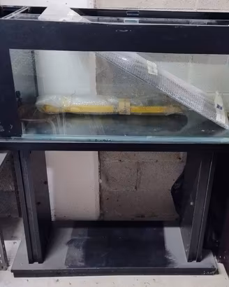 acquario