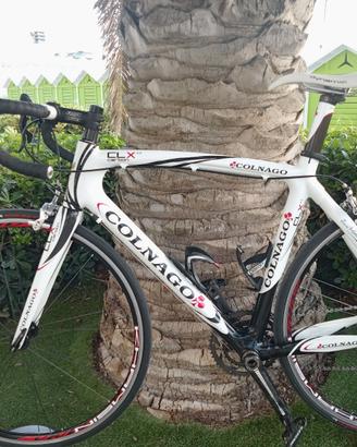 bici da corsa Colnago CLX TG M 54/54/11 velocità 