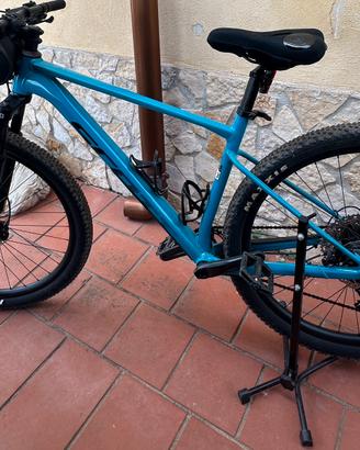 Scott scale 980