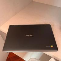 Asus chromebook C204M