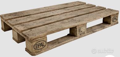 Pedane epal