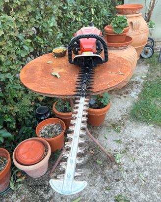 Tagliasiepi praticamente nuovo