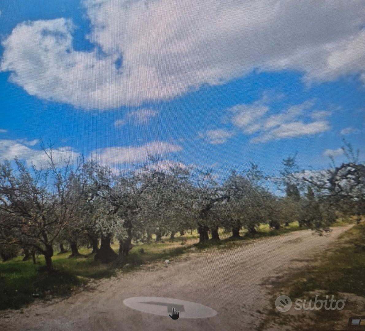 Terreno Agricolo panoramico - Vista 5