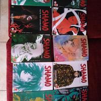 Shamo nato per comabttere