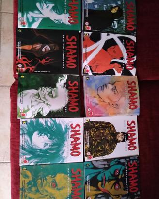 Shamo nato per combattere