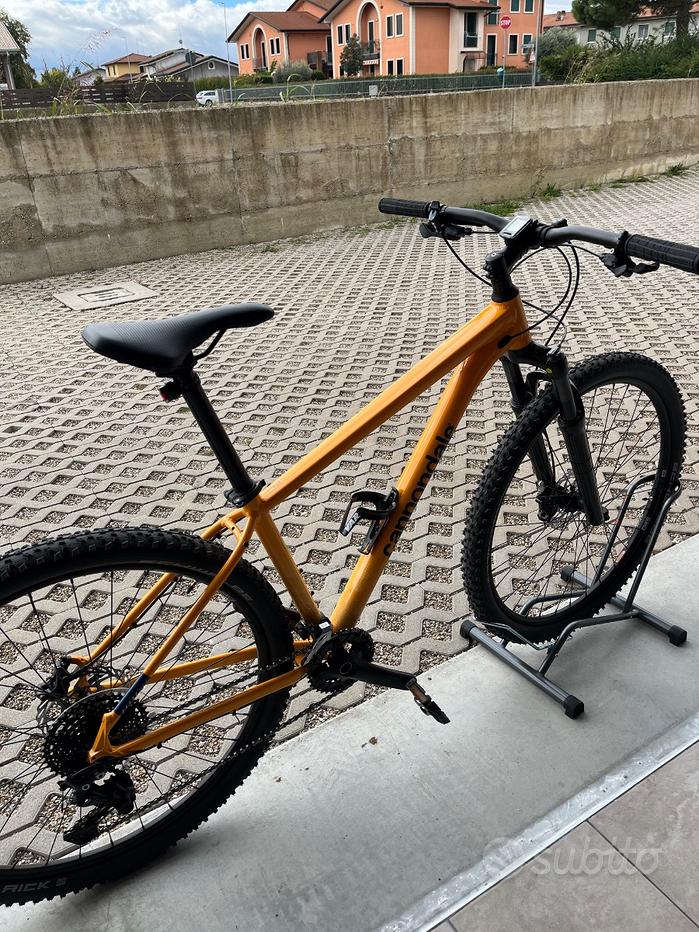 Mtb/1000 Vendita in Biciclette in Veneto