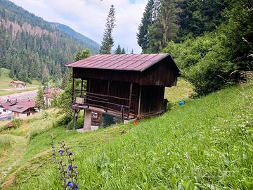 Tabià - Rustico a Santo Stefano di Cadore