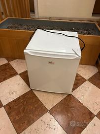 Frighetto in perfette condizioni