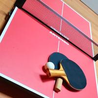 Mini Tavolo da Ping Pong Artengo