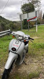 Scarabeo 70 dr evolution