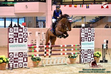 Cavallo salto ostacoli