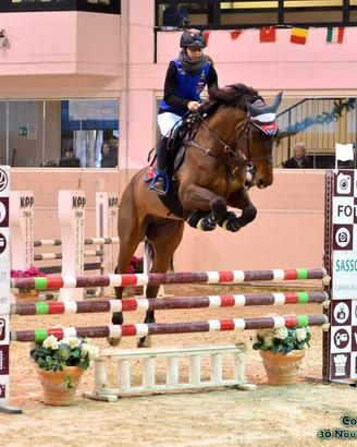 Cavallo salto ostacoli
