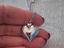 Immagine 1
