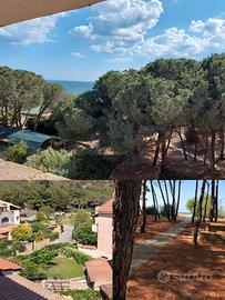 Appartamento VILLAGGIO PRAIALONGA