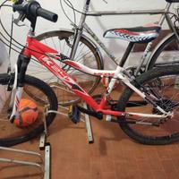 Bicicletta da bambino