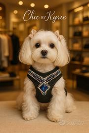 Pettorina cane serie luxury