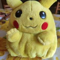 Pokémon  porta giochi