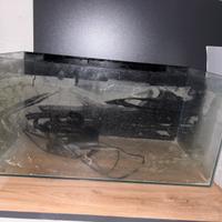 Acquario dolce/marino