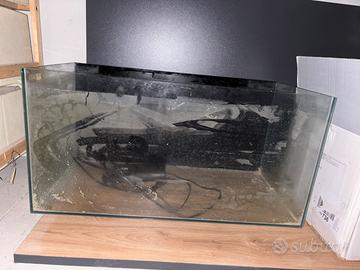 Acquario dolce/marino