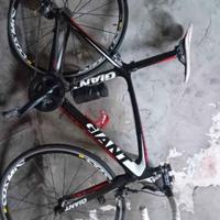  Bici da corsa professionale in carbonio 