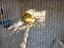 Immagine 2