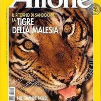 Airone riviste attualità