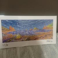 Litografia 45/80 firmata dell' artista N. Perrucca