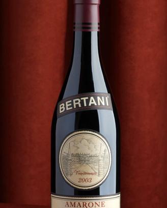 6 bott Amarone della Valpolicella Bertani 2003