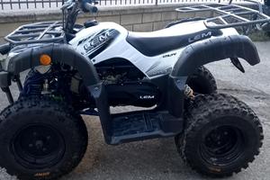 Quad usato Lem 200 2x4