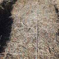 ballette o presse di fieno 