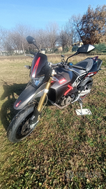 Dorsoduro factory A2