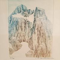 Acqueforti di Placido Castaldi